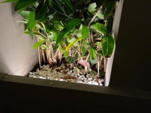 Designer Lighting Shops Sydney