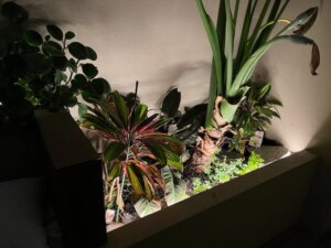 Designer Lighting Suppliers Sydney